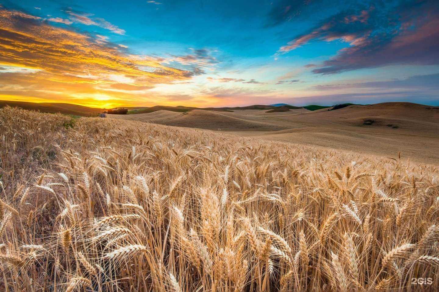 Отзывы на компанию Челябагропоставка в Челябинске c фото