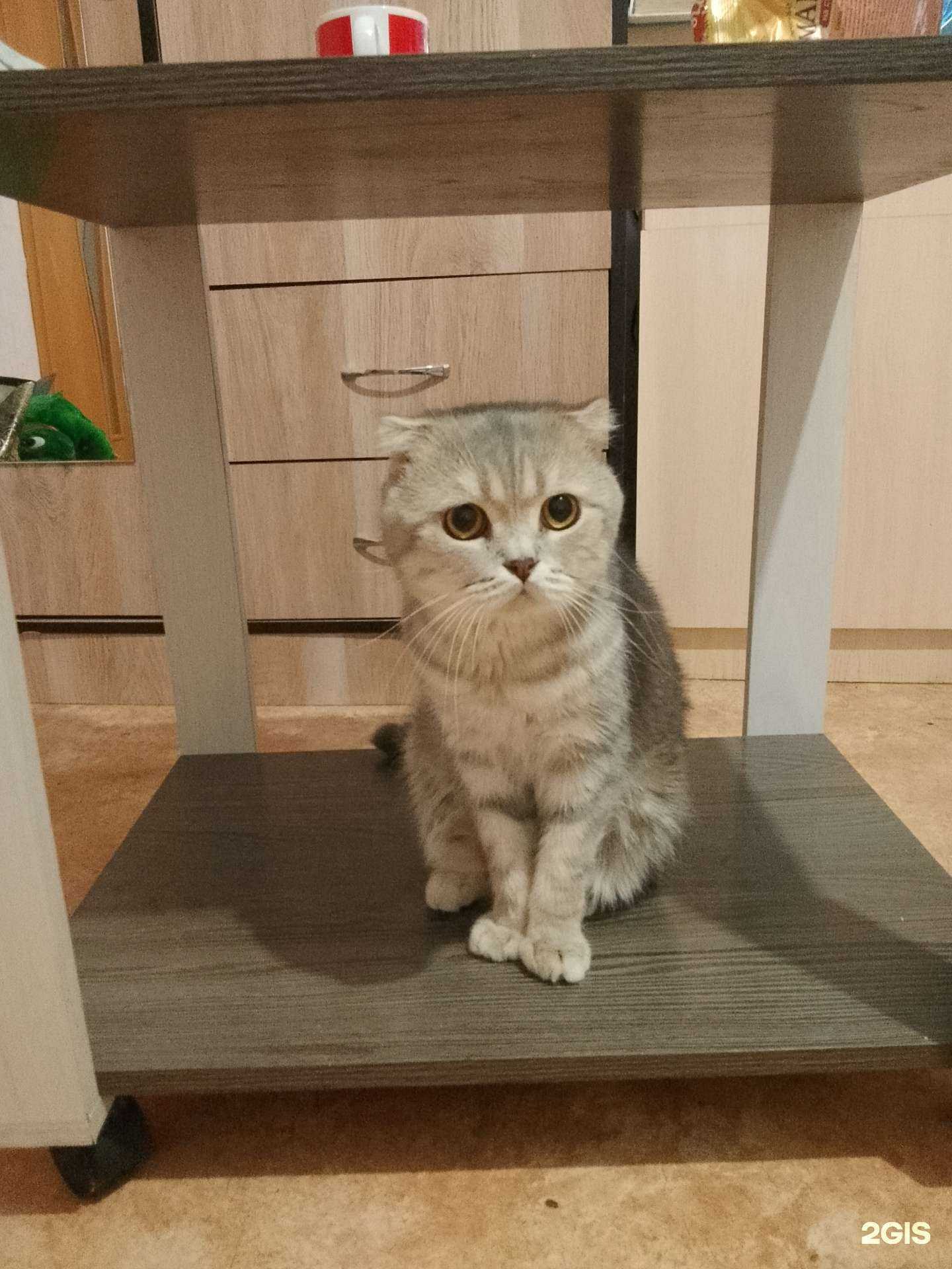 Отзывы на компанию Забота в г. Барнаул c фото