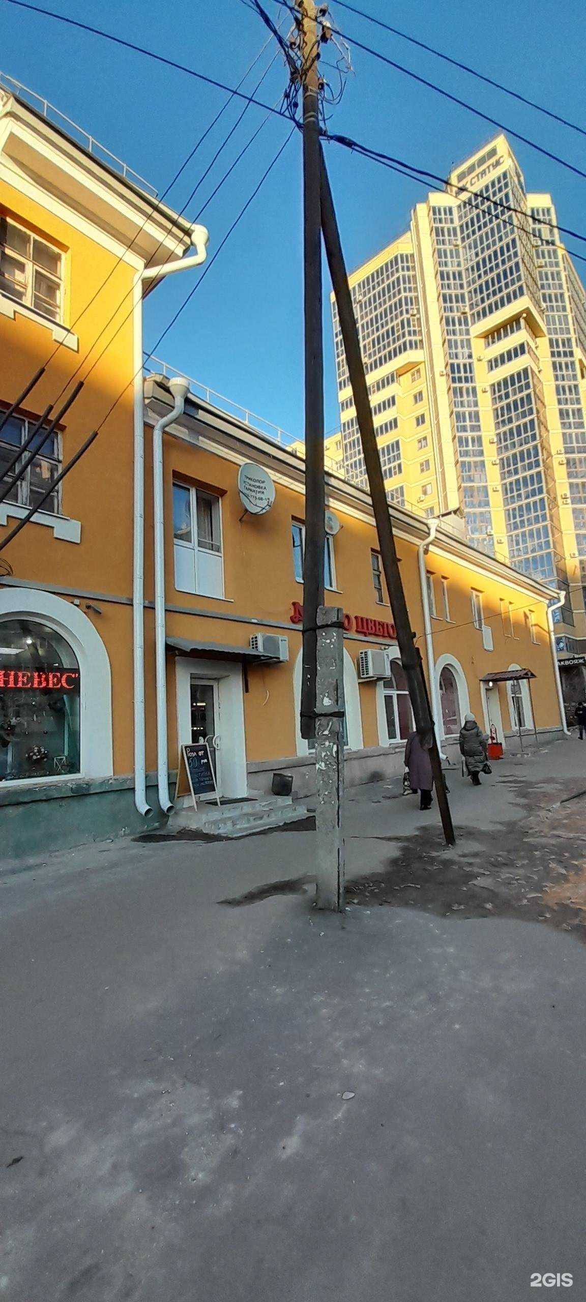 Отзывы на компанию Franz в Воронеже c фото - фотография 2 из 2