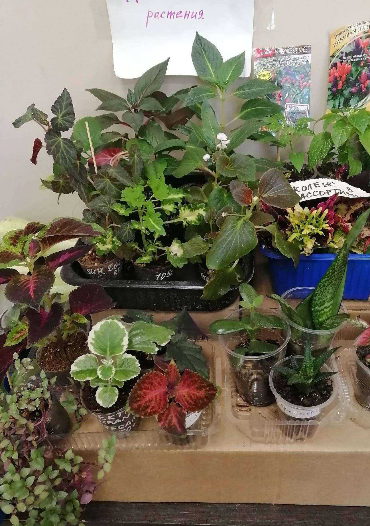 Отзывы на компанию Магазин товаров для сада и огорода в Новосибирске c фото