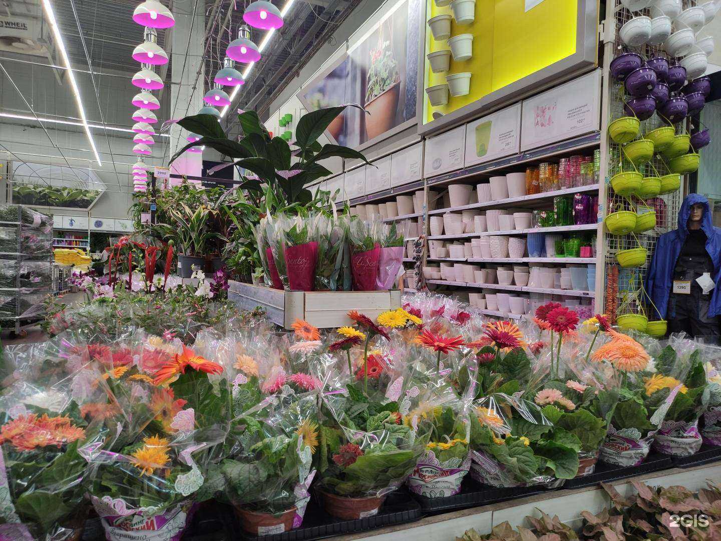 Отзывы на компанию Лемана Про в Подольске c фото