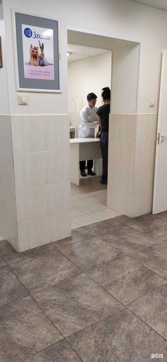 Отзывы на компанию АпексВет в г. Сертолово c фото