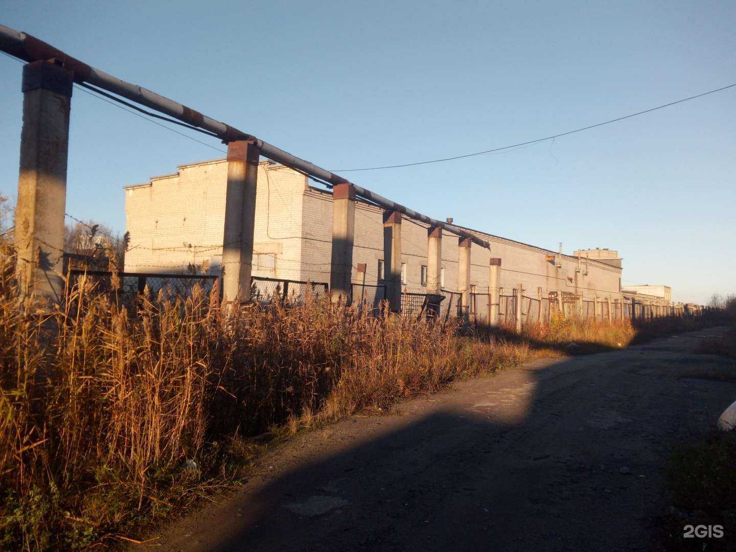 Отзывы на компанию Максимум в Архангельске c фото - фотография 2 из 2