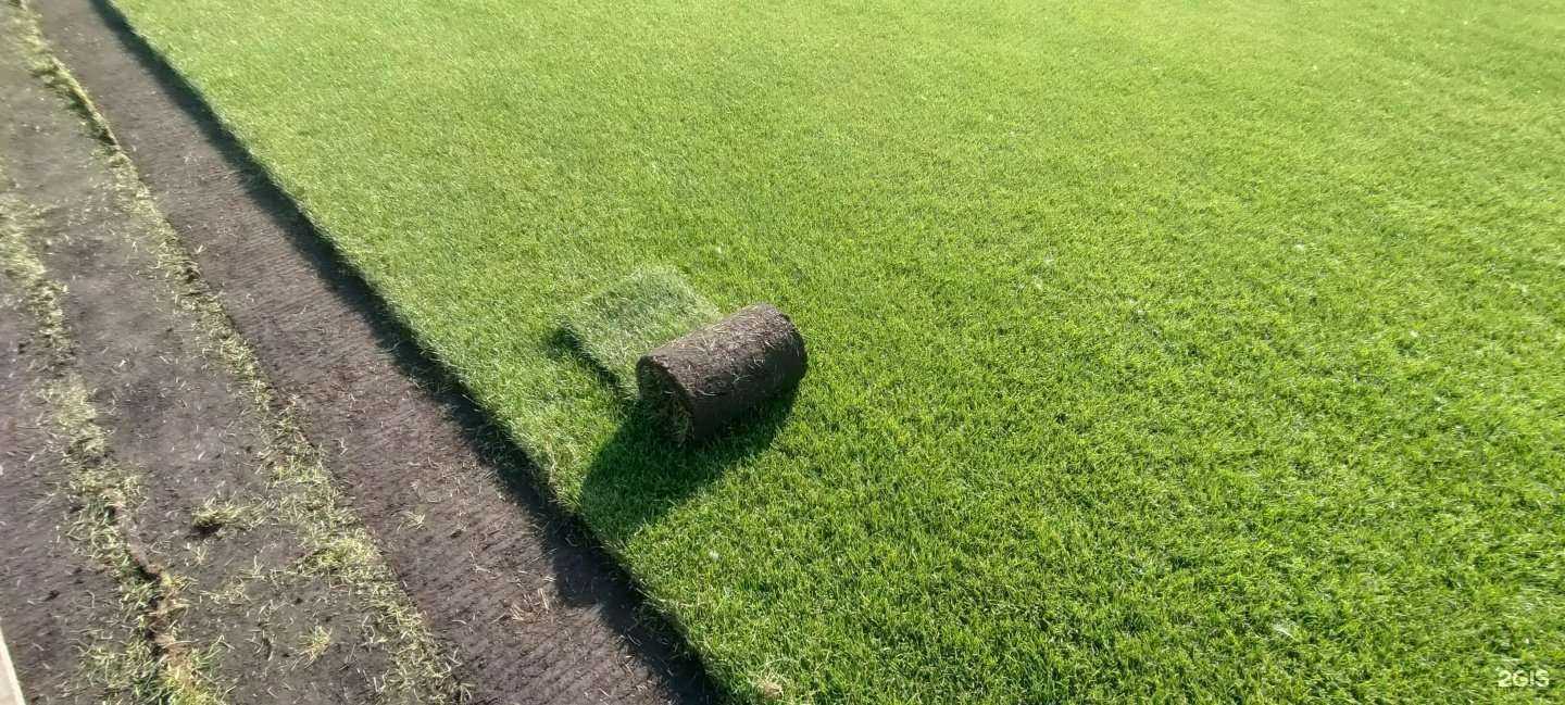 Отзывы на компанию Ландшафт-Омск в Омске c фото