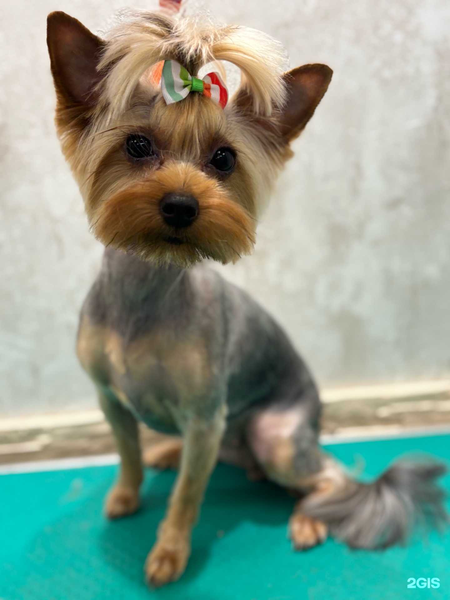 Отзывы на компанию Groom LaLa в Новосибирске c фото