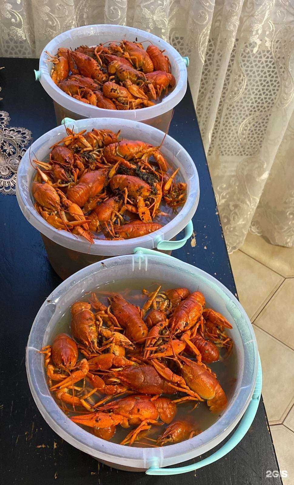 Отзывы на компанию Компания по продаже раков в Самаре c фото