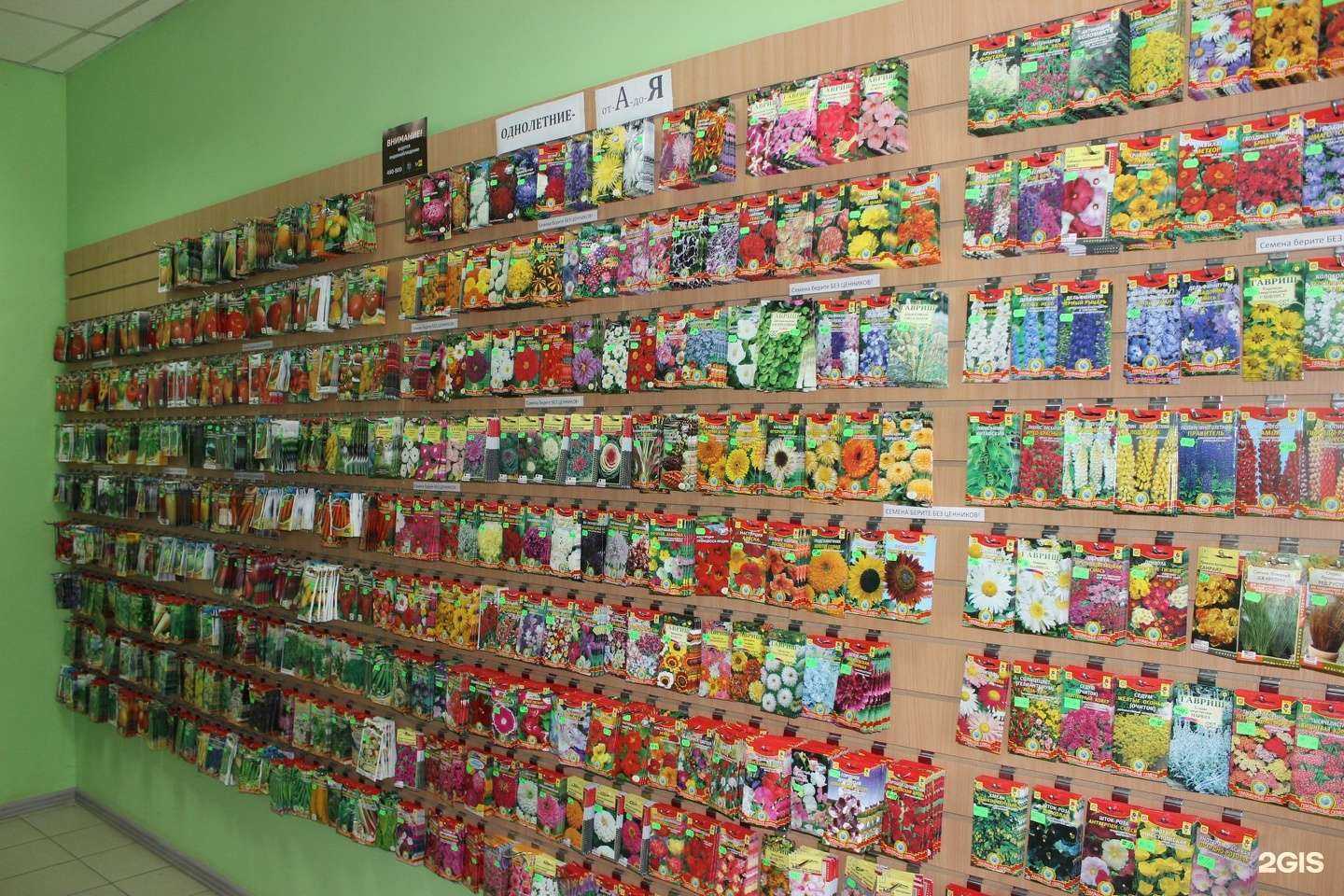 Отзывы на компанию Сияние в г. Астрахань c фото