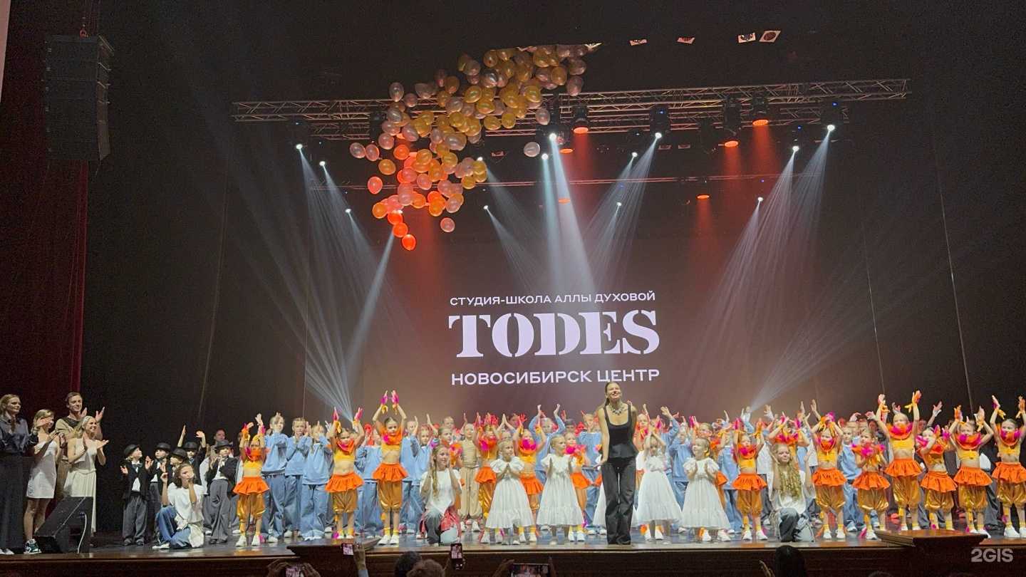 Отзывы на компанию Todes в г. Новосибирск c фото