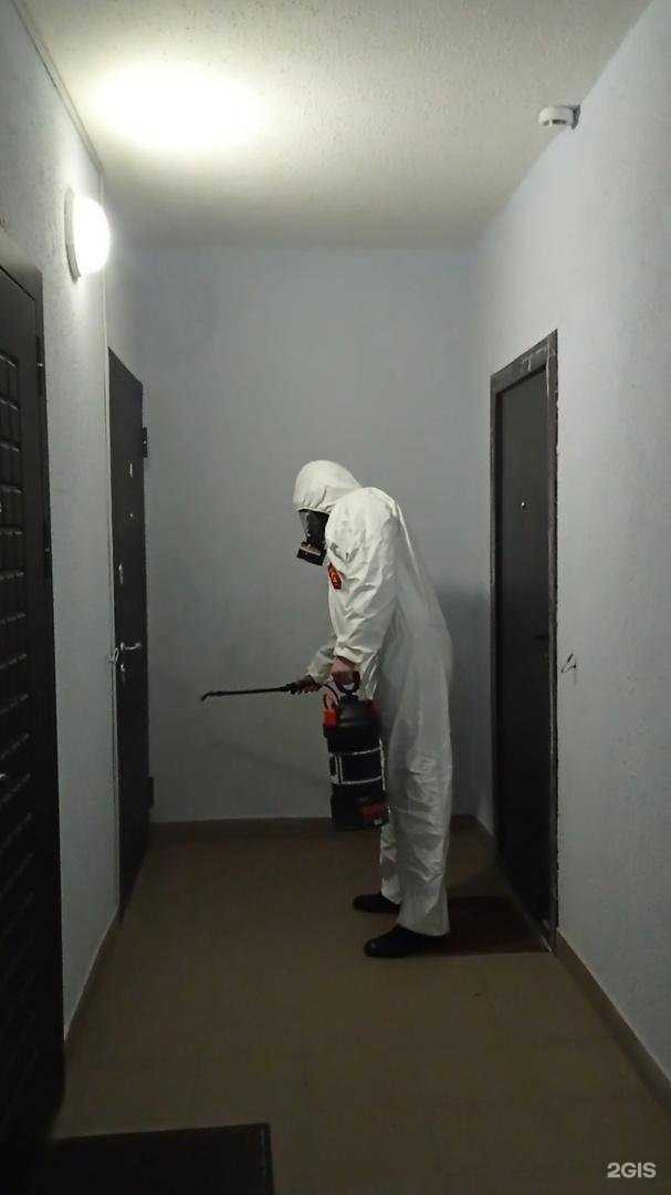 Отзывы на компанию Шефтор в г. Тюмень c фото