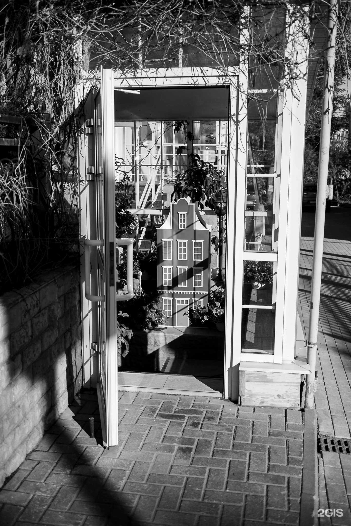 Отзывы на компанию Дом Цветов в Вологде c фото - фотография 2 из 2