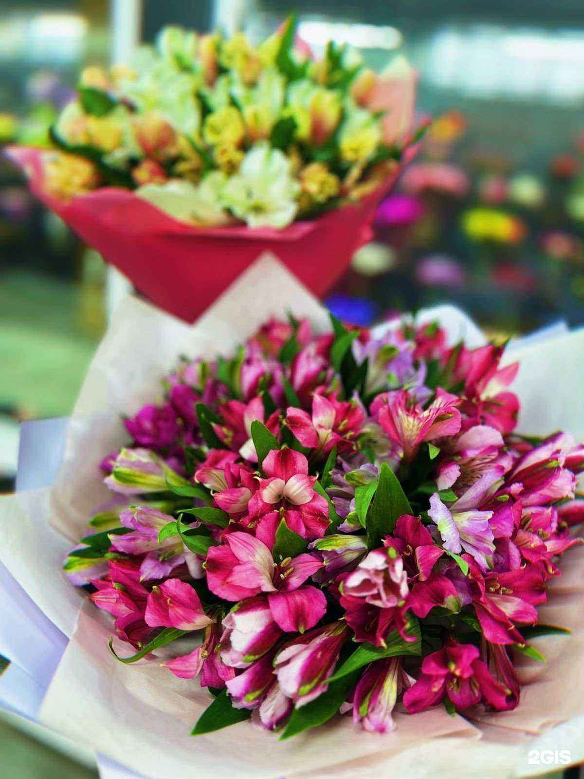 Отзывы на компанию Центр цветоф в Омске c фото