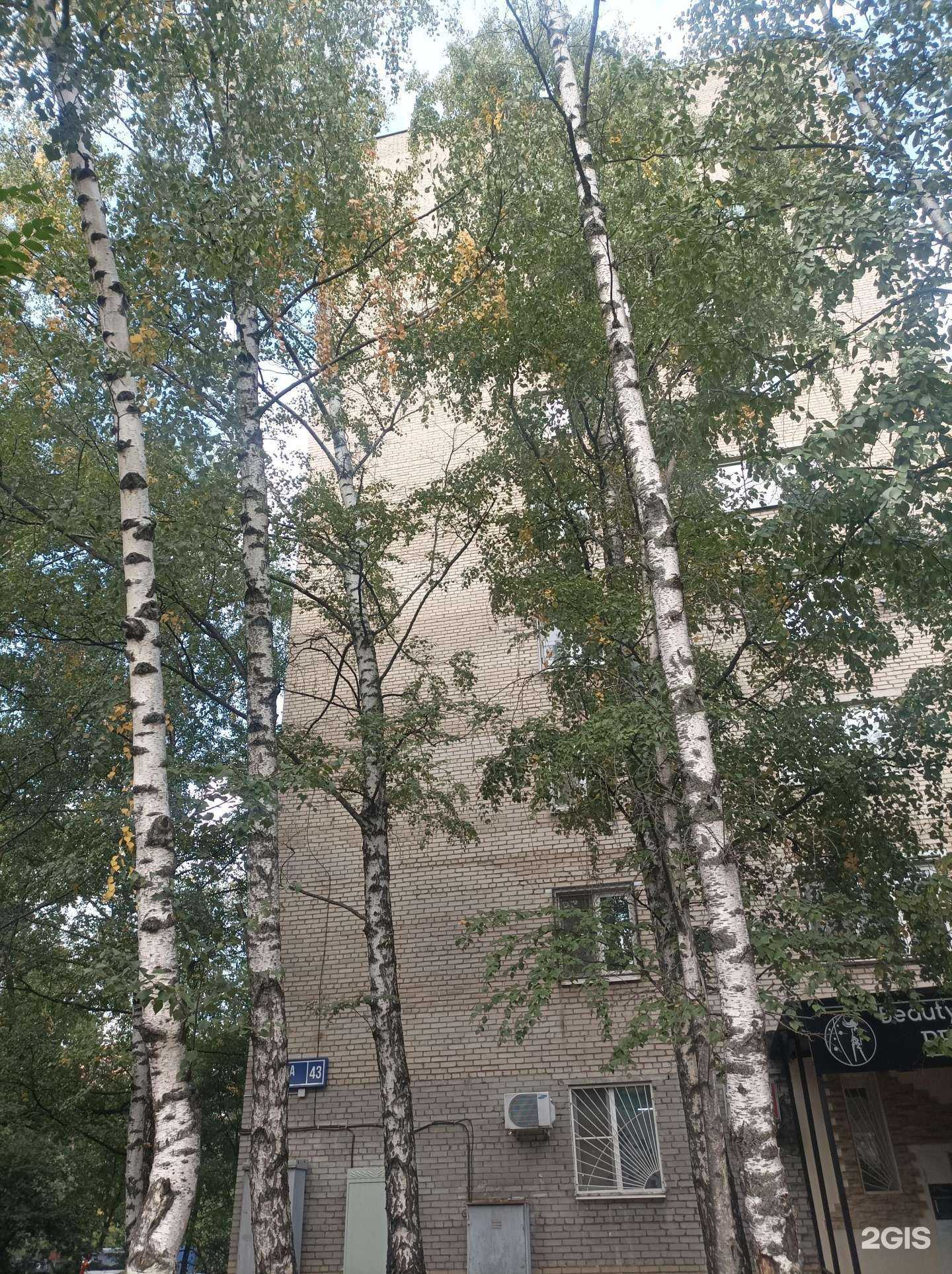 Отзывы на компанию Лабиринт в Реутове c фото