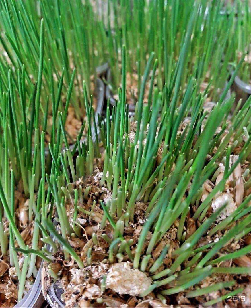 Отзывы на компанию Тотошка в г. Калуга c фото