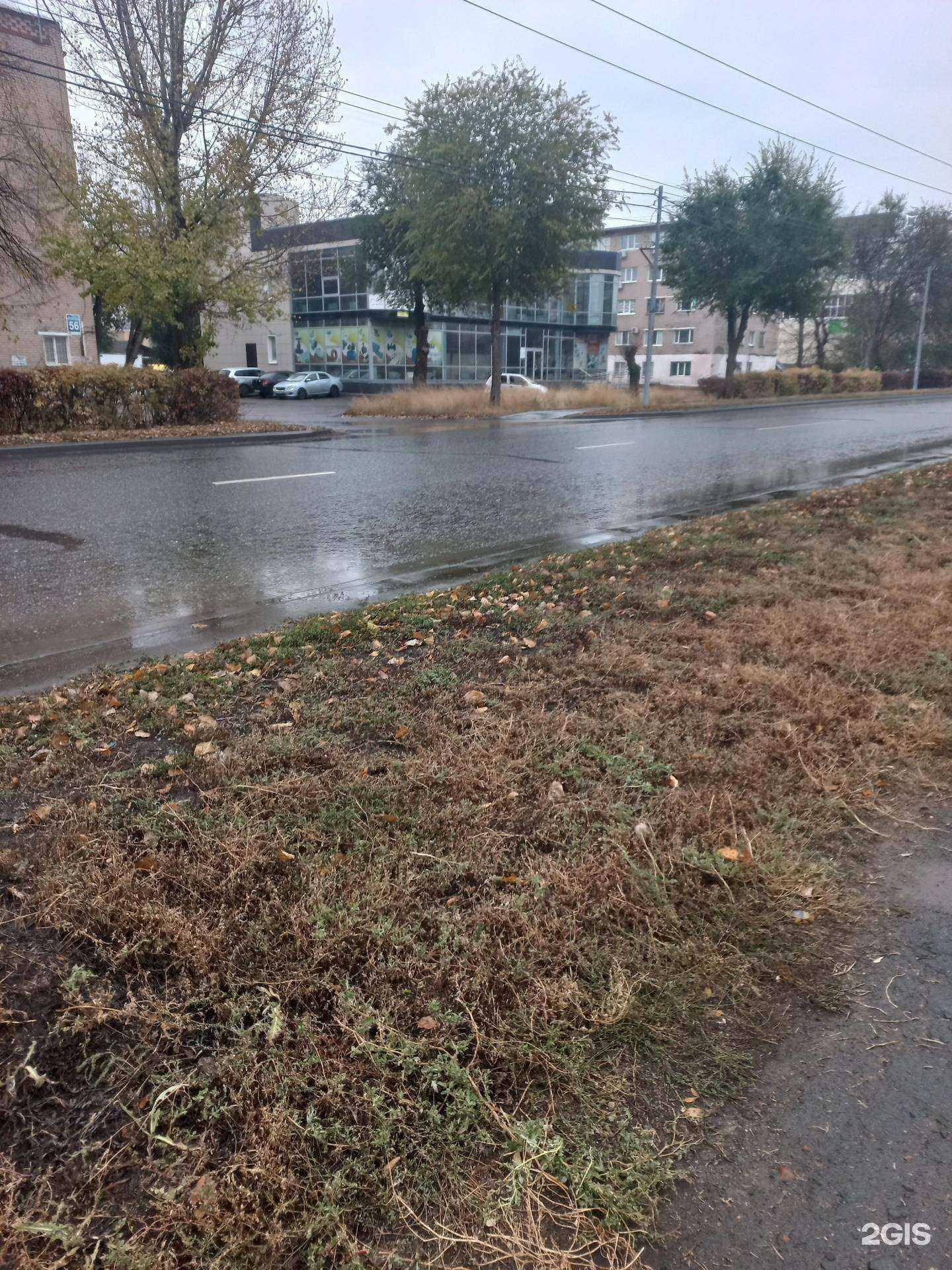 Отзывы на компанию Eva в Оренбурге c фото - фотография 2 из 2