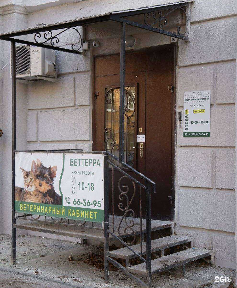 Отзывы на компанию Веттерра в Ярославле c фото