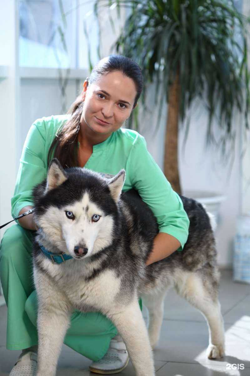 Отзывы на компанию Иркутская городская станция по борьбе с болезнями животных в г. Шелехов c фото