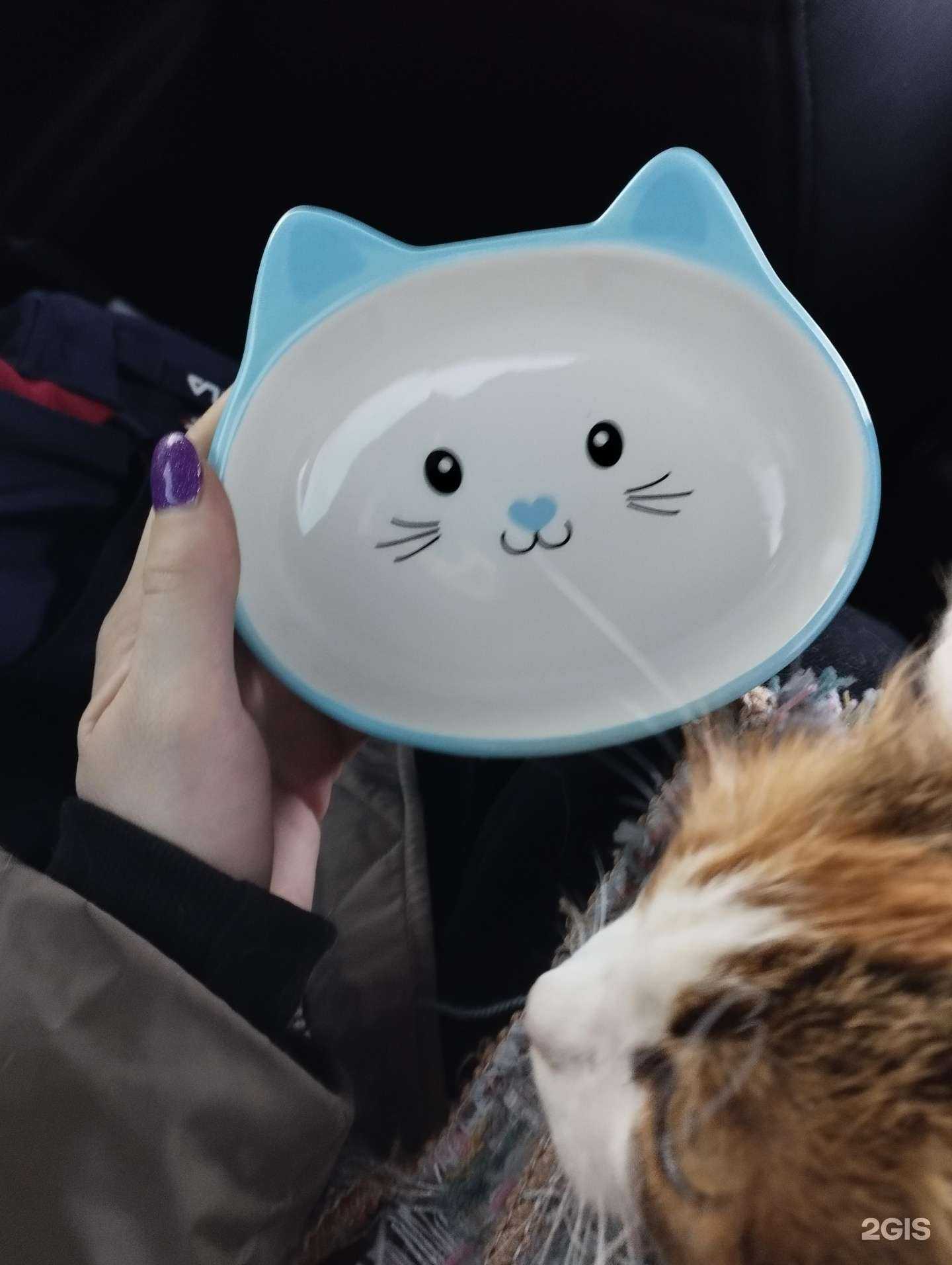 Отзывы на компанию Любимки в г. Междуреченск c фото