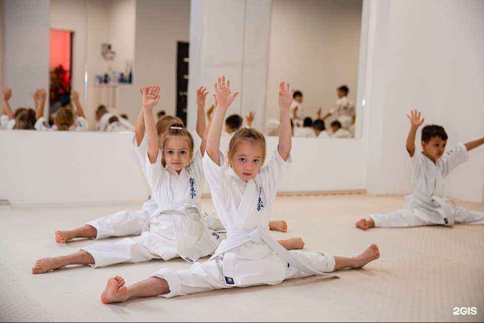 Отзывы на компанию Росич каратэ киокушинкай в г. Краснодар c фото