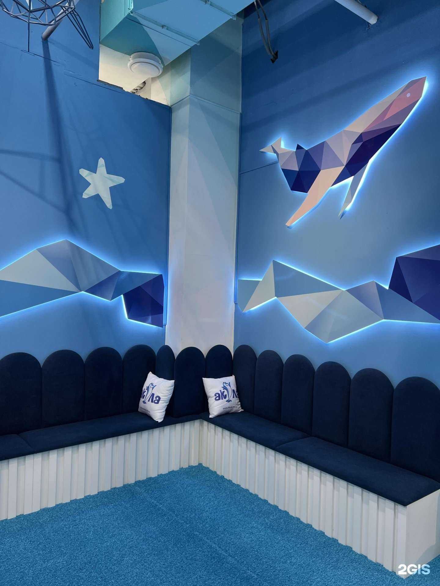 Отзывы на компанию Акула в Иркутске c фото