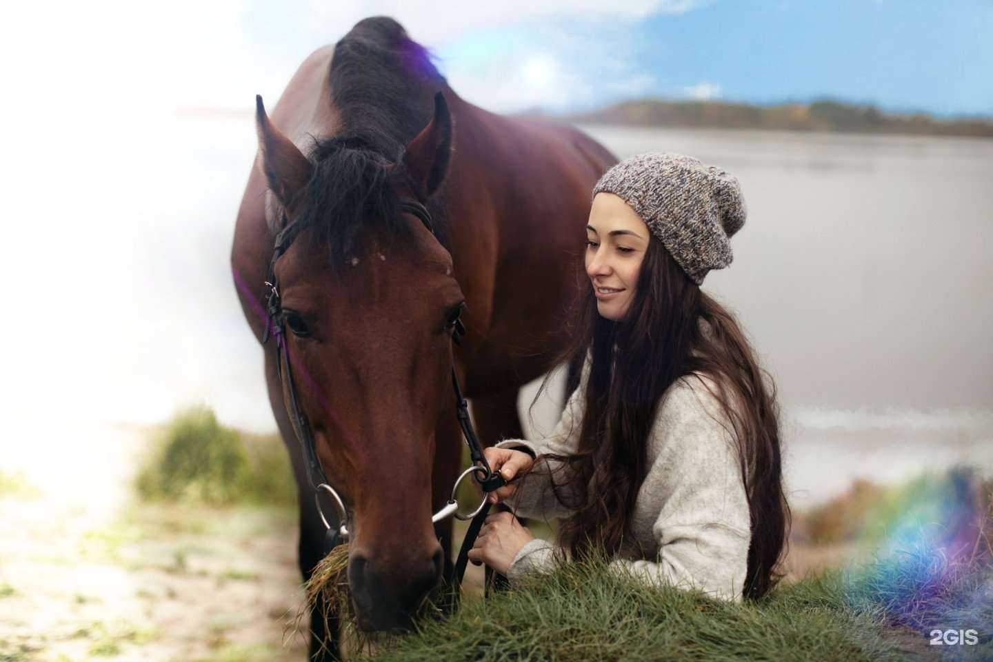 Отзывы на компанию Merlin в Сургуте c фото