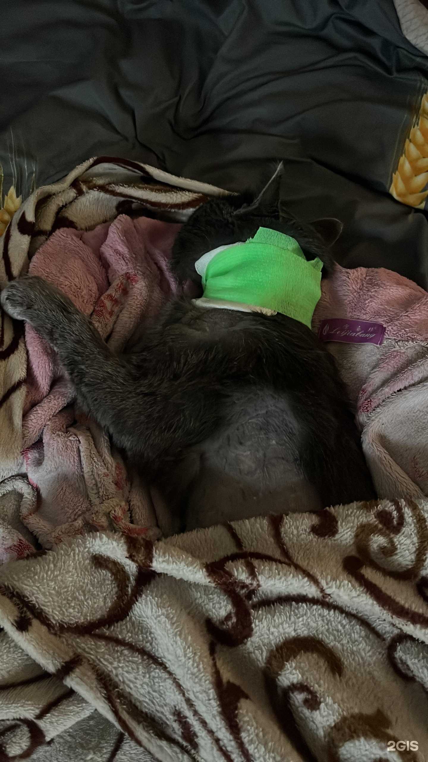 Отзывы на компанию Амикус в Красноярске c фото