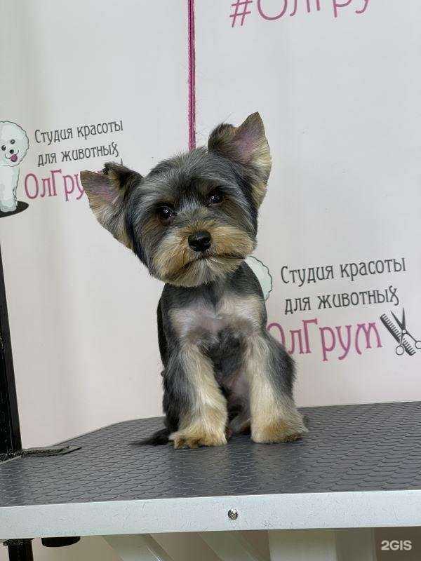 Отзывы на компанию ОлГрум в Наро-Фоминске c фото