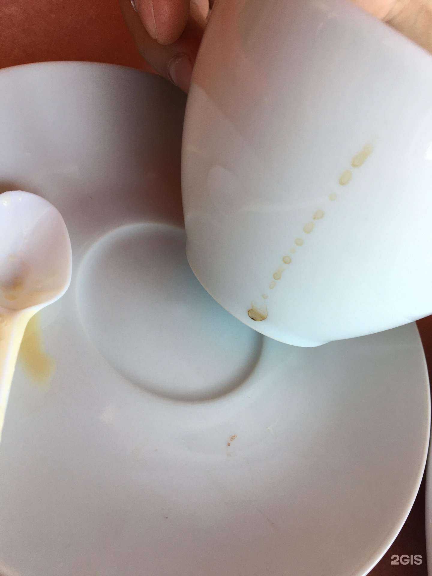 Отзывы на компанию Лето в Невинномысске c фото