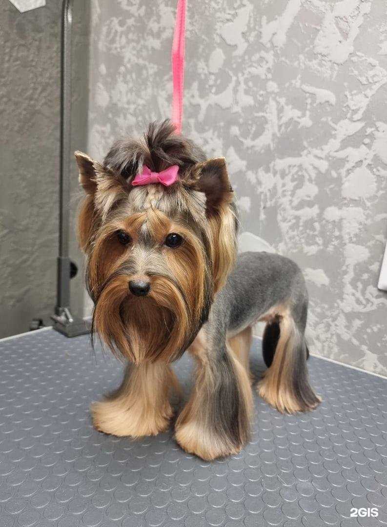 Отзывы на компанию Бон-Бон в Великом Новгороде c фото