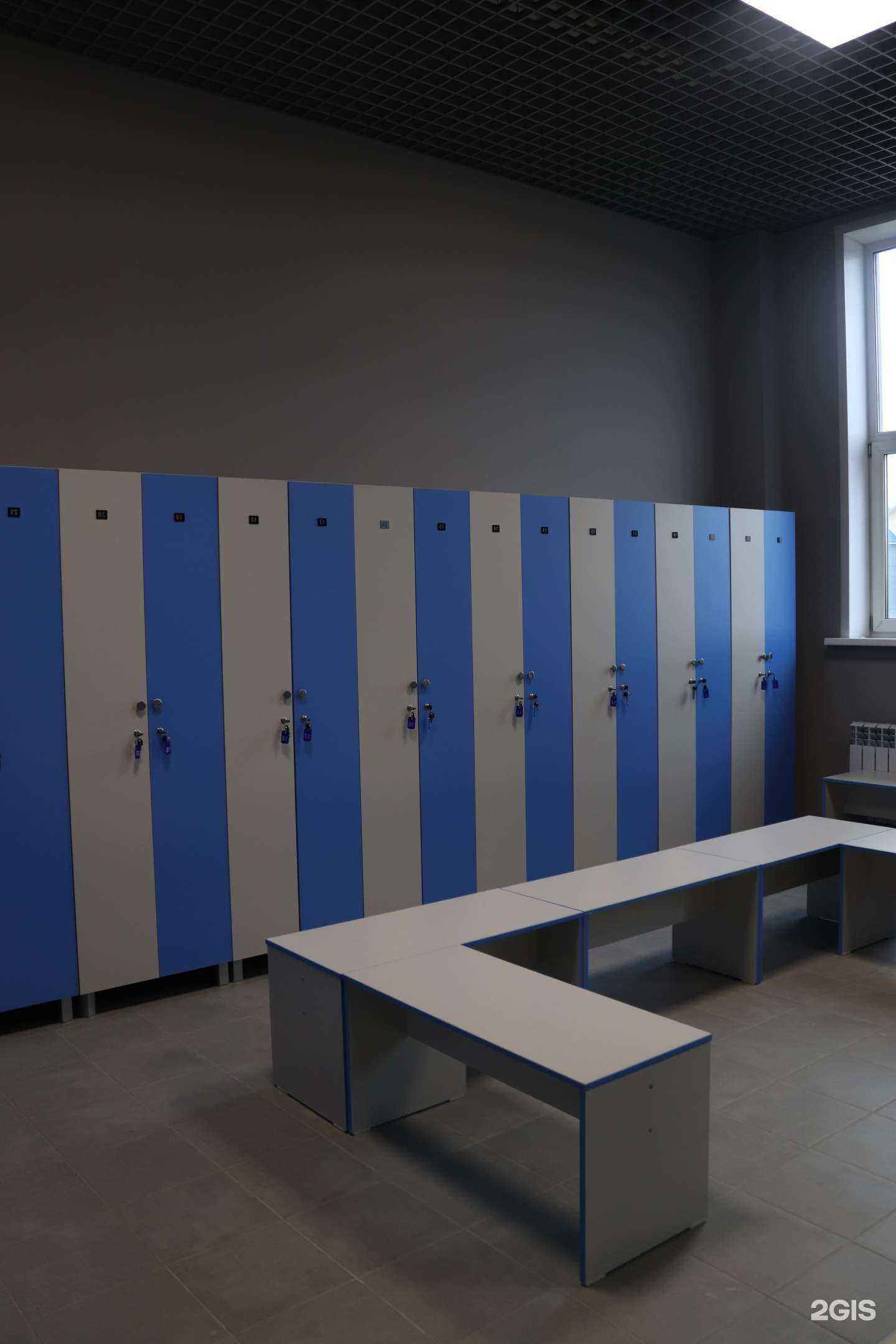 Отзывы на компанию Динамо фит в г. Барнаул c фото