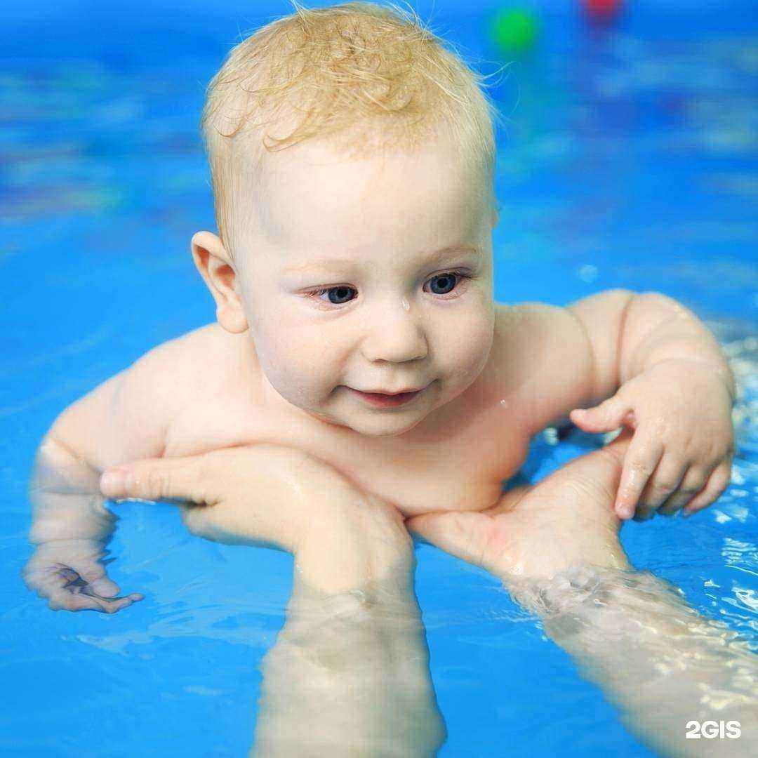 Отзывы на компанию Аквапузики в Ростове-на-Дону c фото