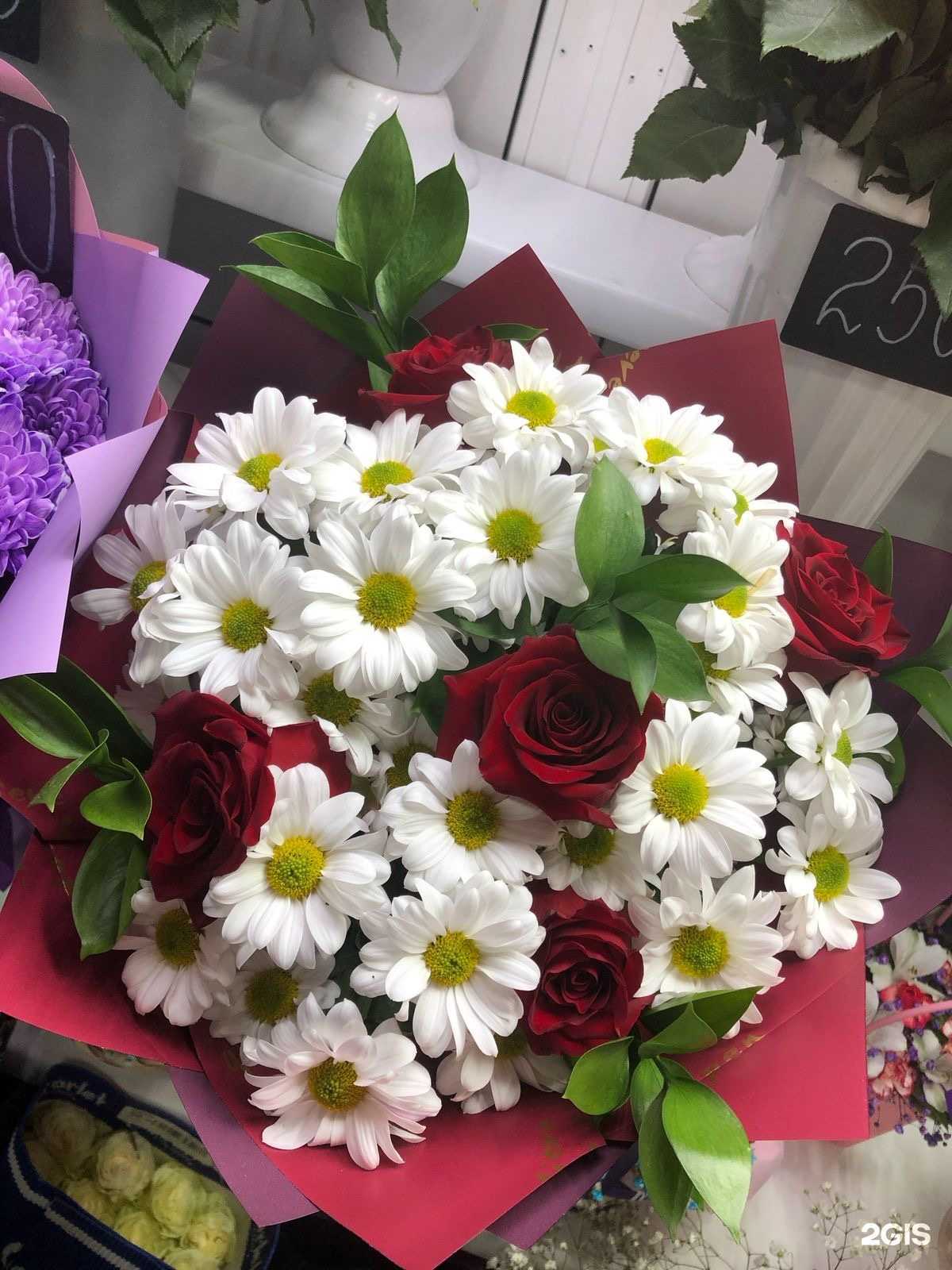 Отзывы на компанию Зимний сад в г. Кемерово c фото