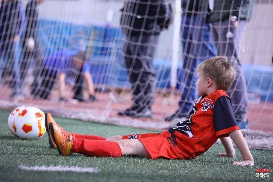 Отзывы на компанию Сокол в Казани c фото