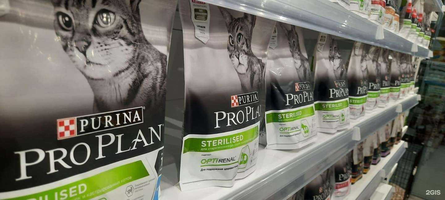 Отзывы на компанию Др.Холли в Белгороде c фото