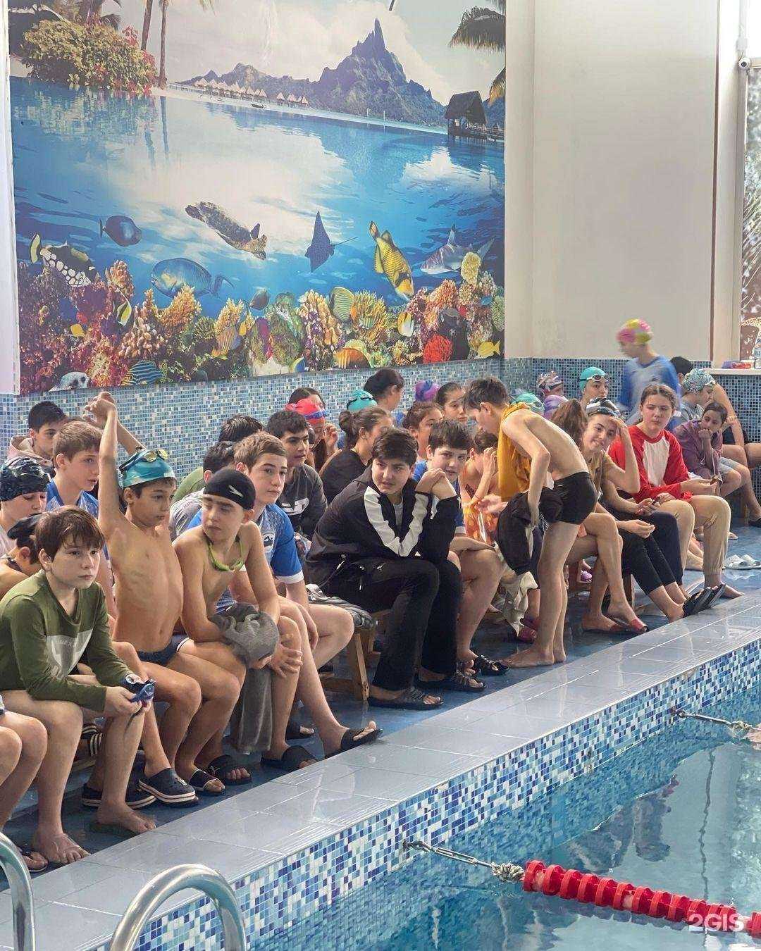 Отзывы на компанию Старт в Махачкале c фото