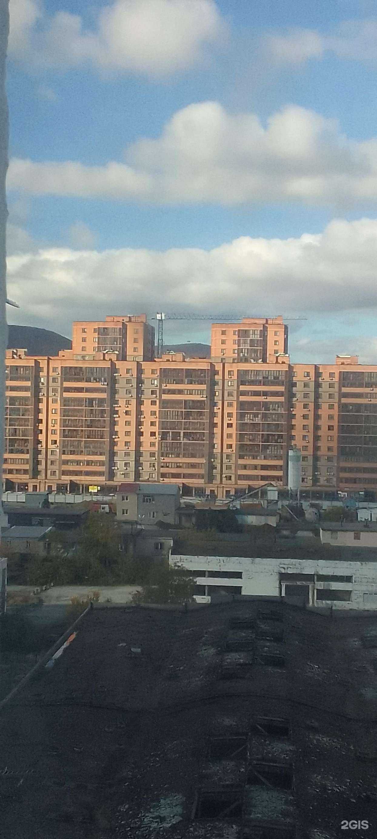 Отзывы на компанию Груминг-салон по стрижке кошек в Новороссийске c фото - фотография 2 из 2