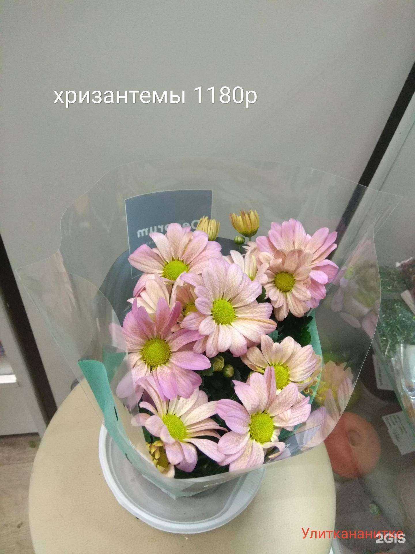 Отзывы на компанию Улитка на нитке в г. Норильск c фото