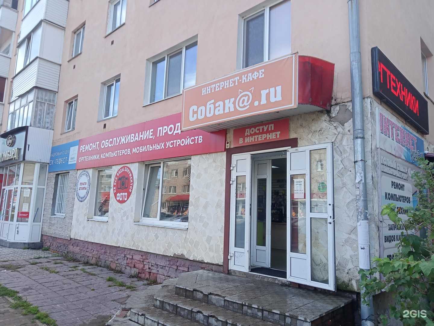 Отзывы на компанию Собака.ru в Нефтекамске c фото