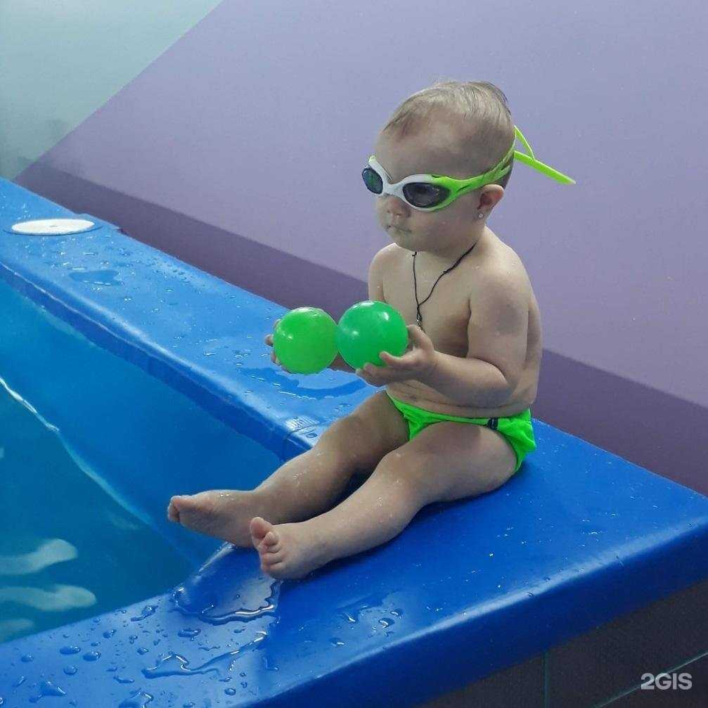 Отзывы на компанию Чемпион в г. Новосибирск c фото