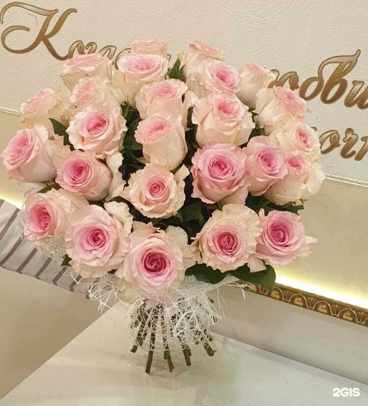 Отзывы на компанию Эквадор в Саранске c фото