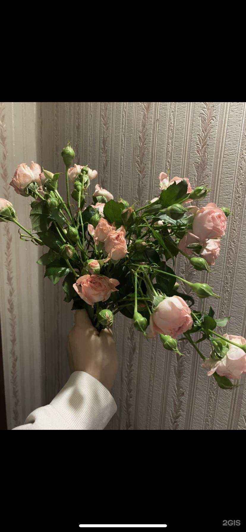 Отзывы на компанию ЦветоМаркет&Белая роза в г. Ижевск c фото