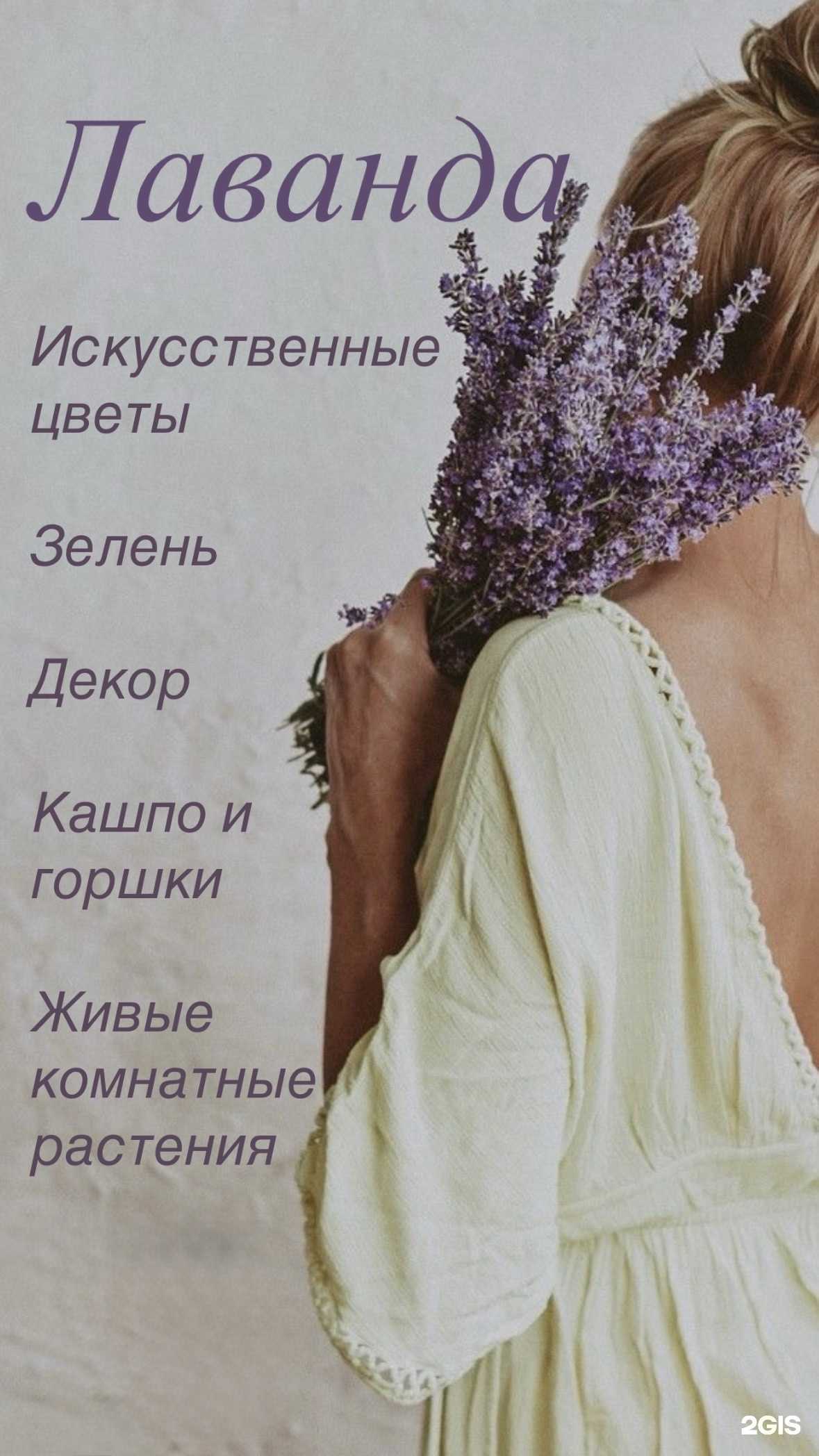 Отзывы на компанию Лаванда в Новороссийске c фото