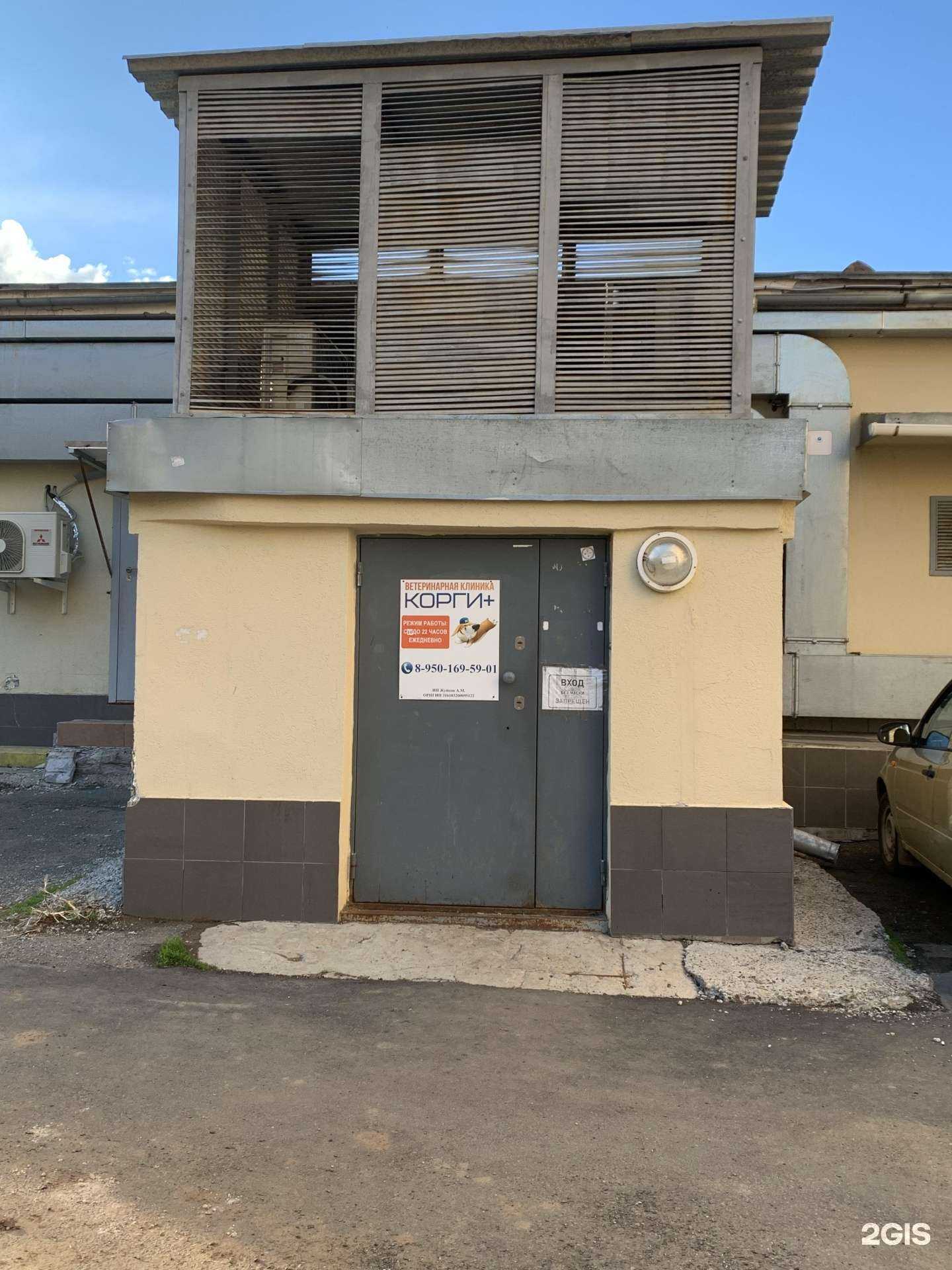 Отзывы на компанию Корги+ в Ижевске c фото