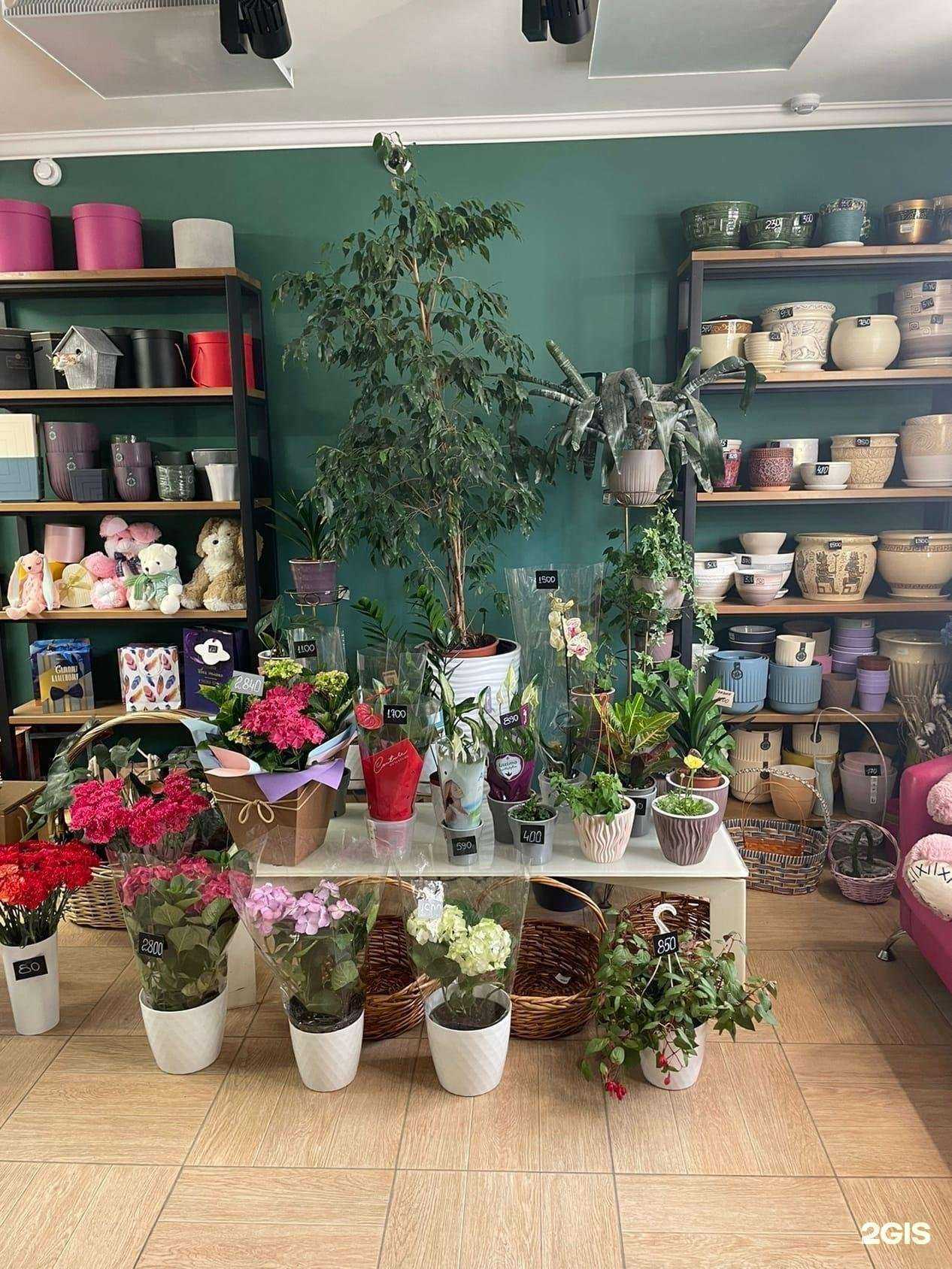 Отзывы на компанию Цветопторг в Челябинске c фото