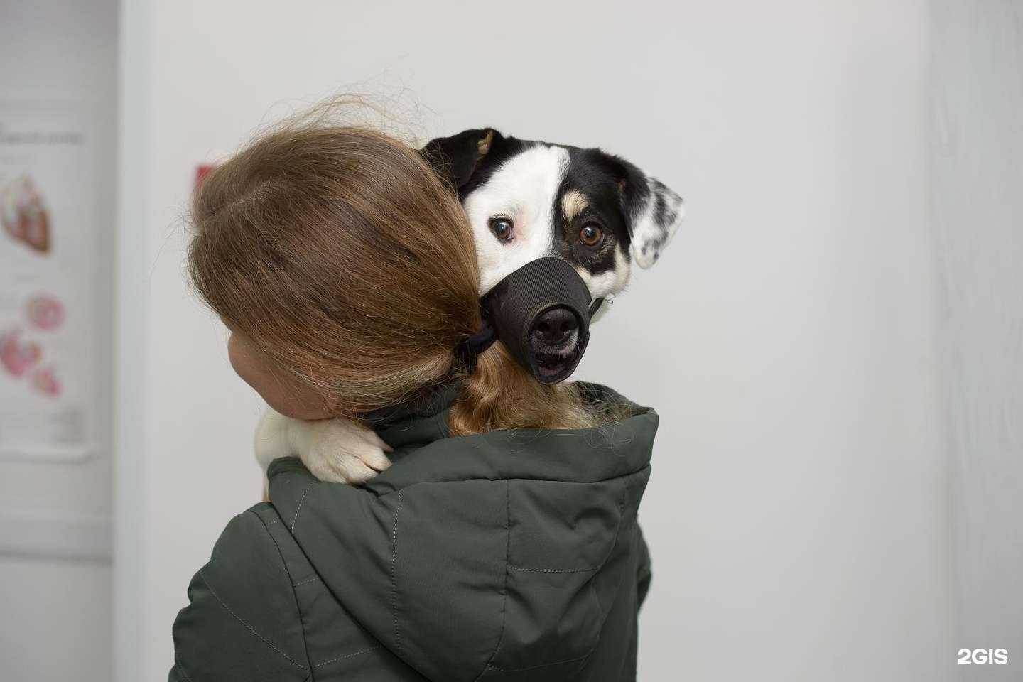 Отзывы на компанию Уфимская городская ветеринарная станция республики Башкортостан в Уфе c фото