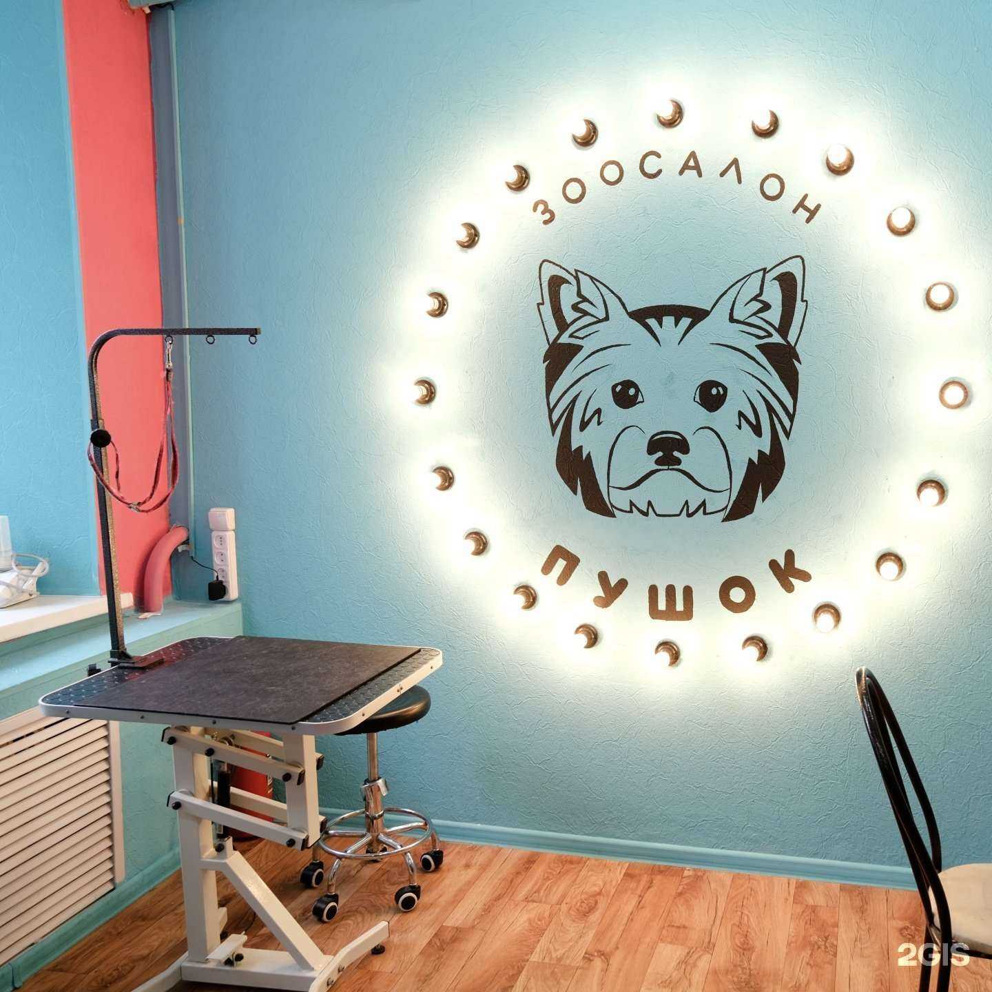 Отзывы на компанию Пушок в г. Астрахань c фото