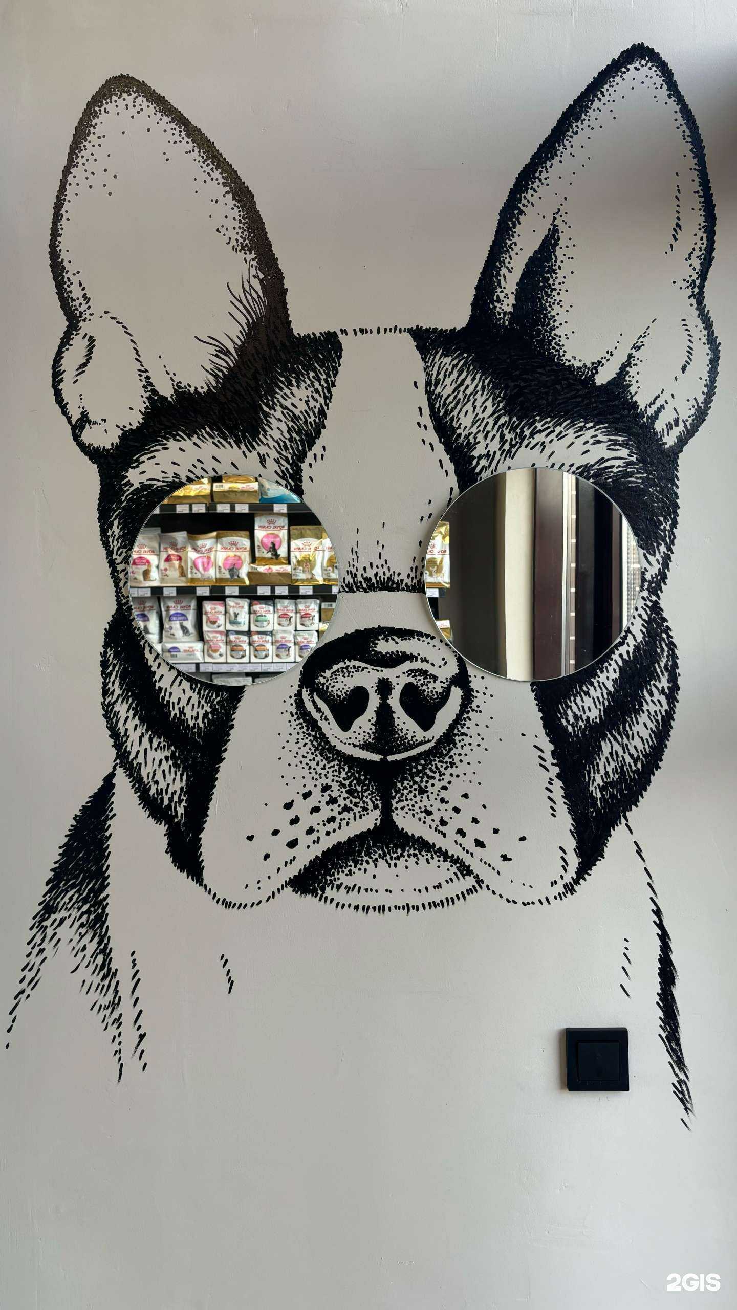 Отзывы на компанию Ветаптека и зоомагазин в Краснодаре c фото