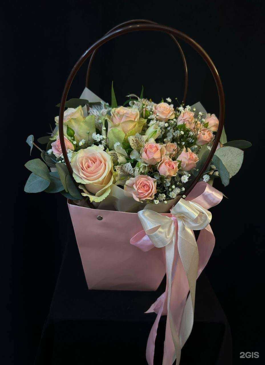 Отзывы на компанию Пальма в г. Белгород c фото