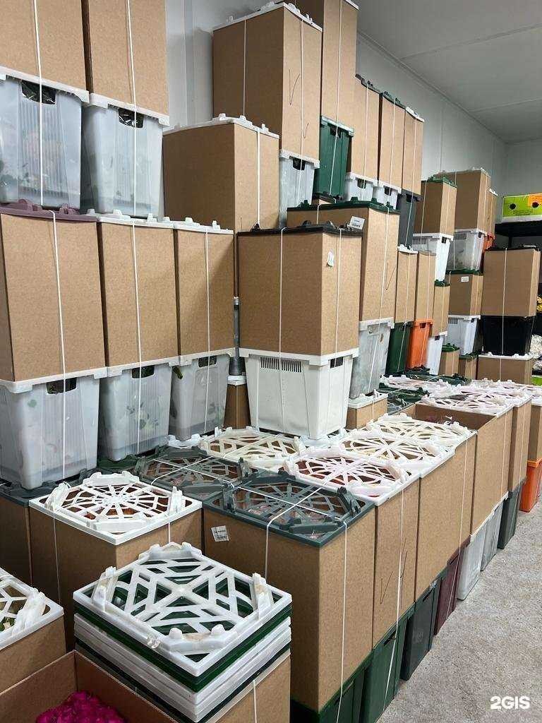 Отзывы на компанию Crocuss.ru в г. Подольск c фото