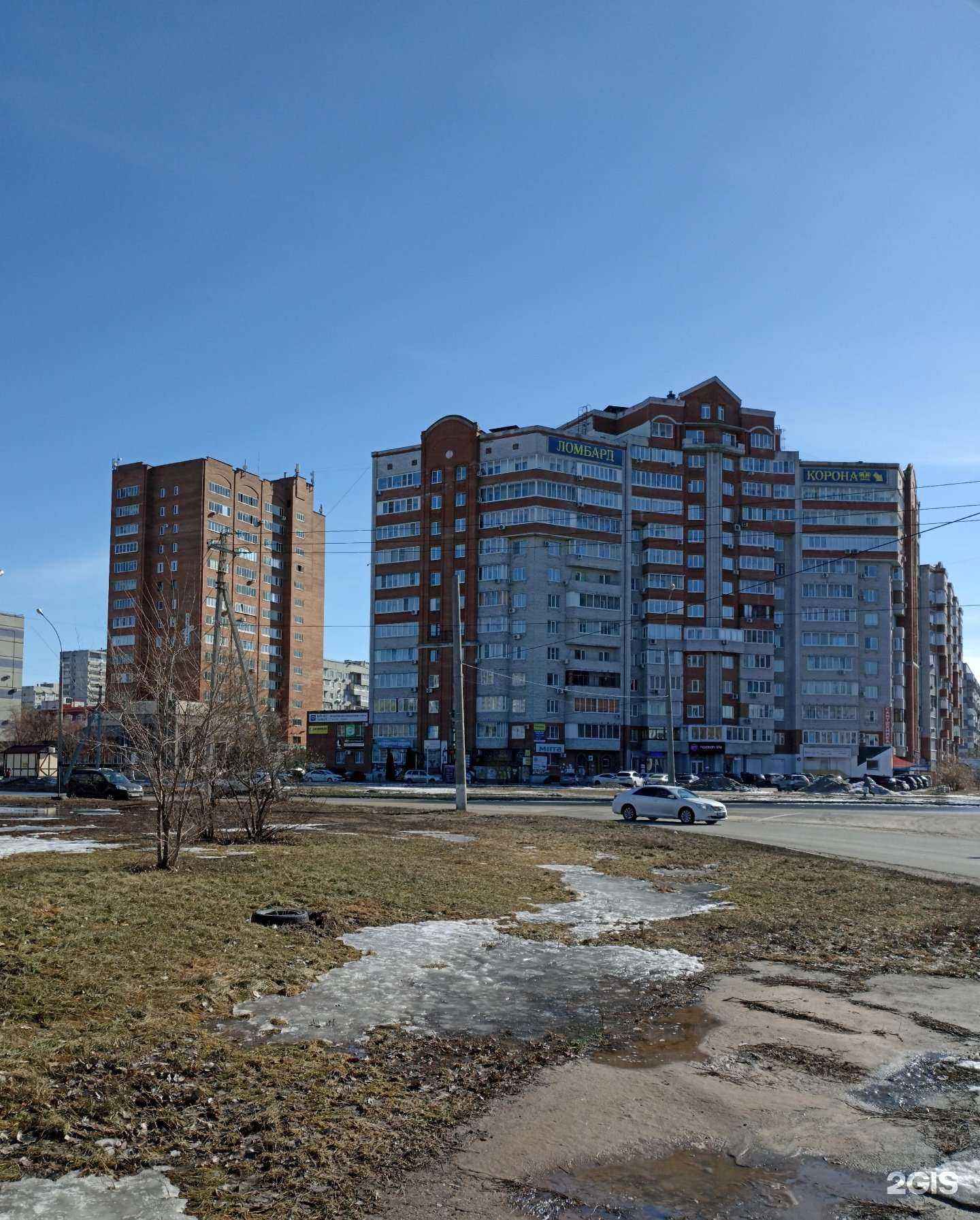 Отзывы на компанию Ваш грумер в Тольятти c фото - фотография 2 из 2