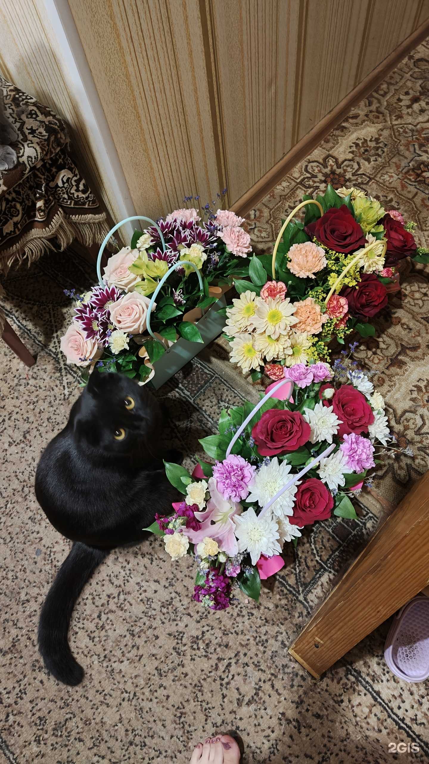 Отзывы на компанию Цветы Черноземья в г. Курск c фото